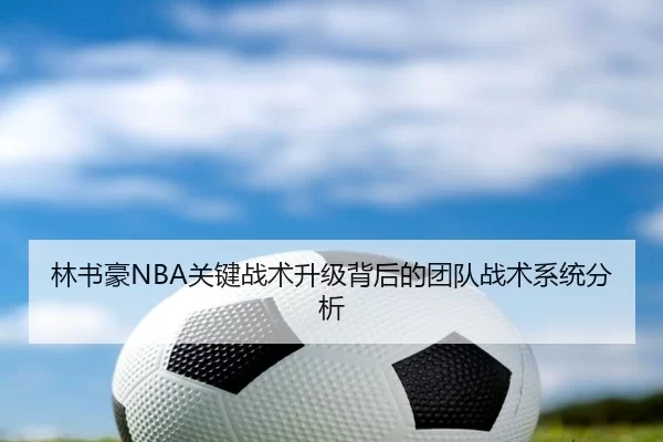 林书豪NBA关键战术升级背后的团队战术系统分析